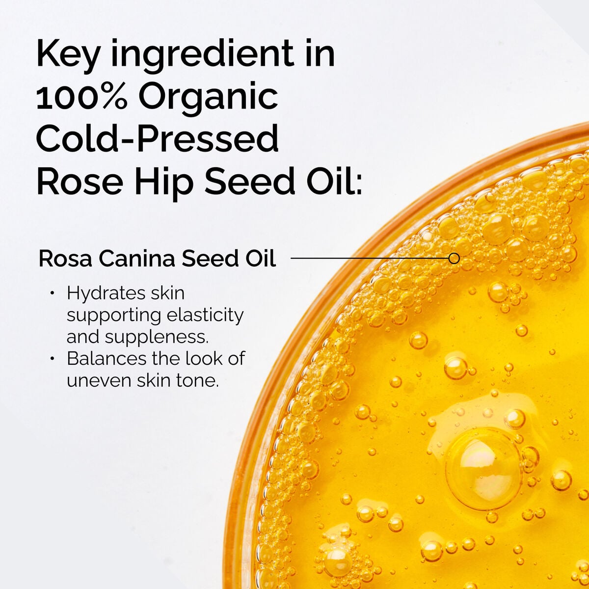 100-organic-cold-pressed-rose-hip-seed-oil-a8 FY25-D41247-ORD-Web-PDP-100-Rose-Hip-Oil-1x1-EN-2.jpg