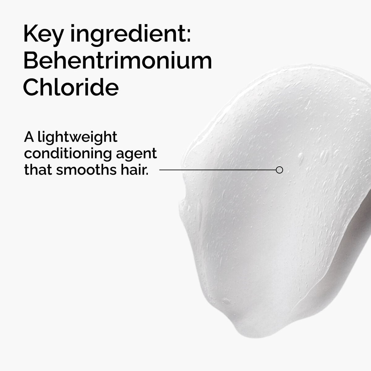 behentrimonium-chloride-2-conditioner-q0 FY25-D41247-ORD-Web-PDP-BTC-1x1-EN-2a.jpg