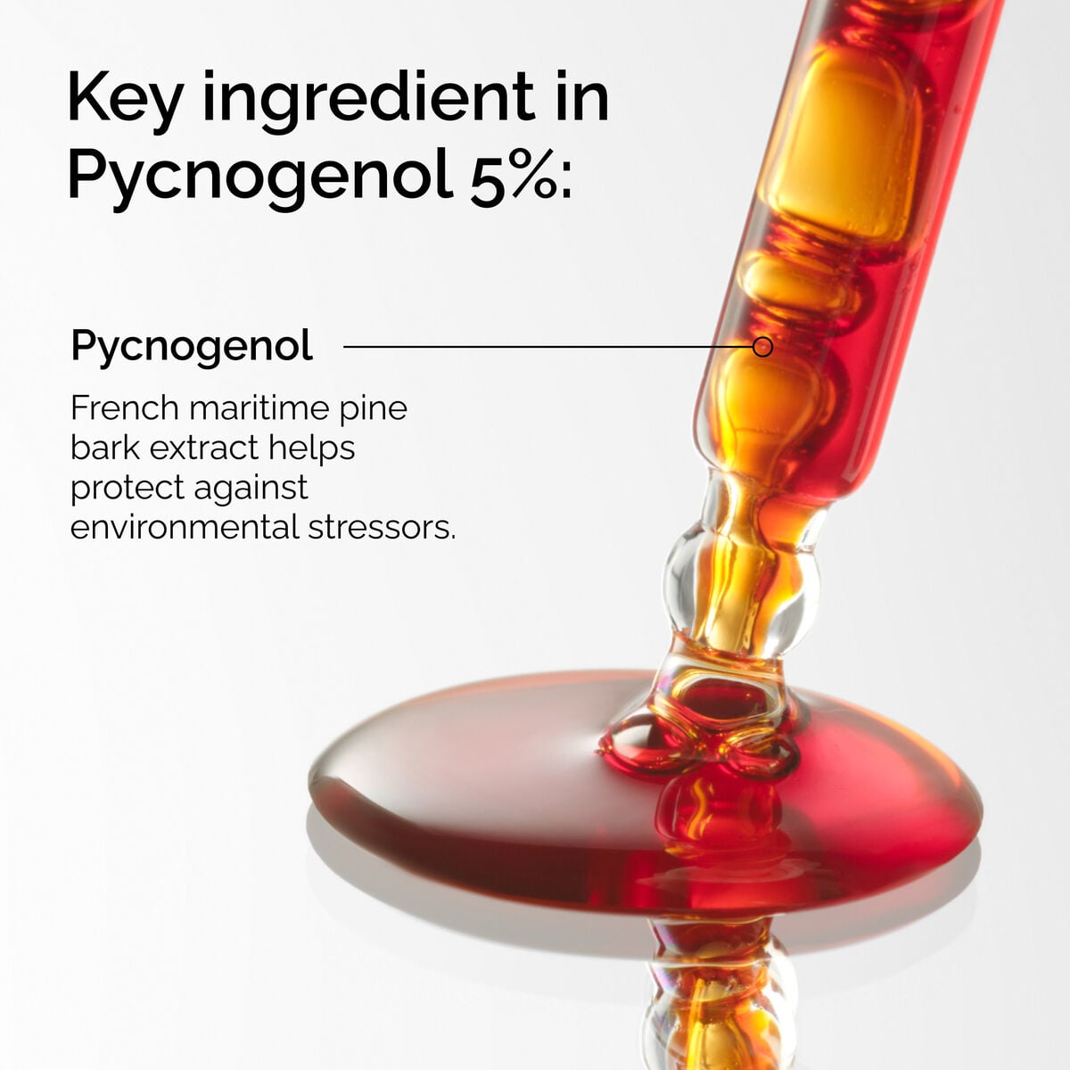 pycnogenol-5-y5 FY25-D41247-ORD-Web-PDP-Pyc-5pct-1x1-EN-2a.jpg