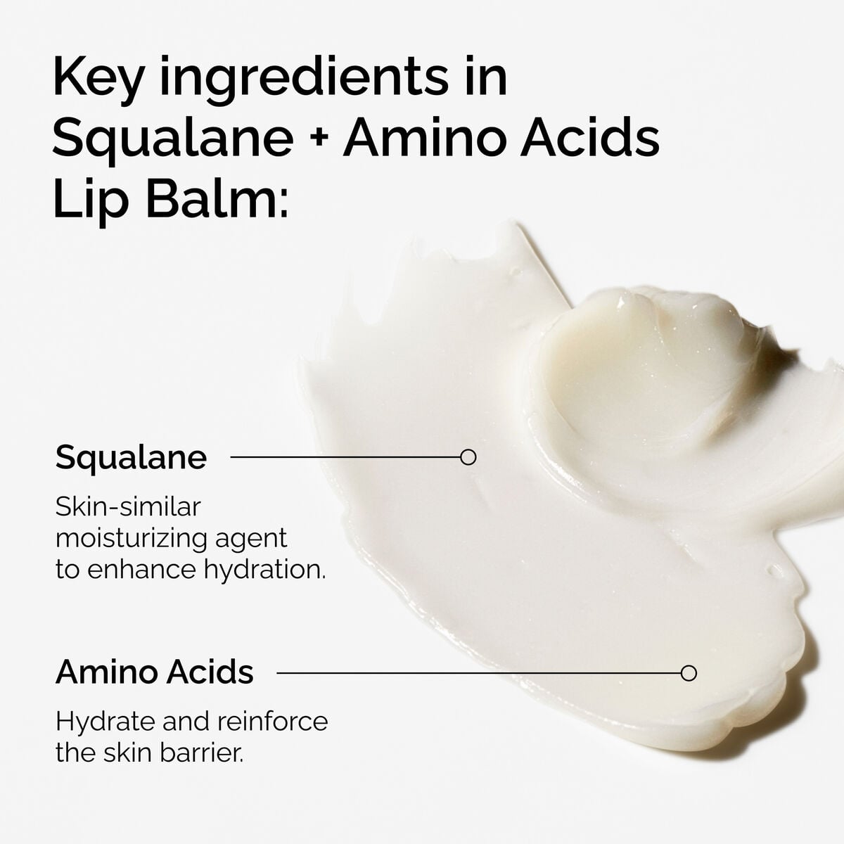 squalane-amino-acids-lip-balm-u5 FY25-D41247-ORD-Web-PDP-Sql-Amino-Lip-1x1-EN-2a.jpg