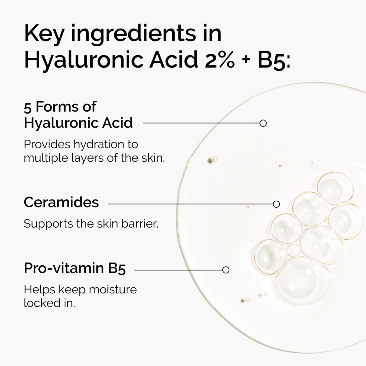 hyaluronic-acid-2-b5-with-ceramides-i2 ord-hyaluronic-acid-2pct-b5-hydrating-serum-ingredients-graphic.jpg