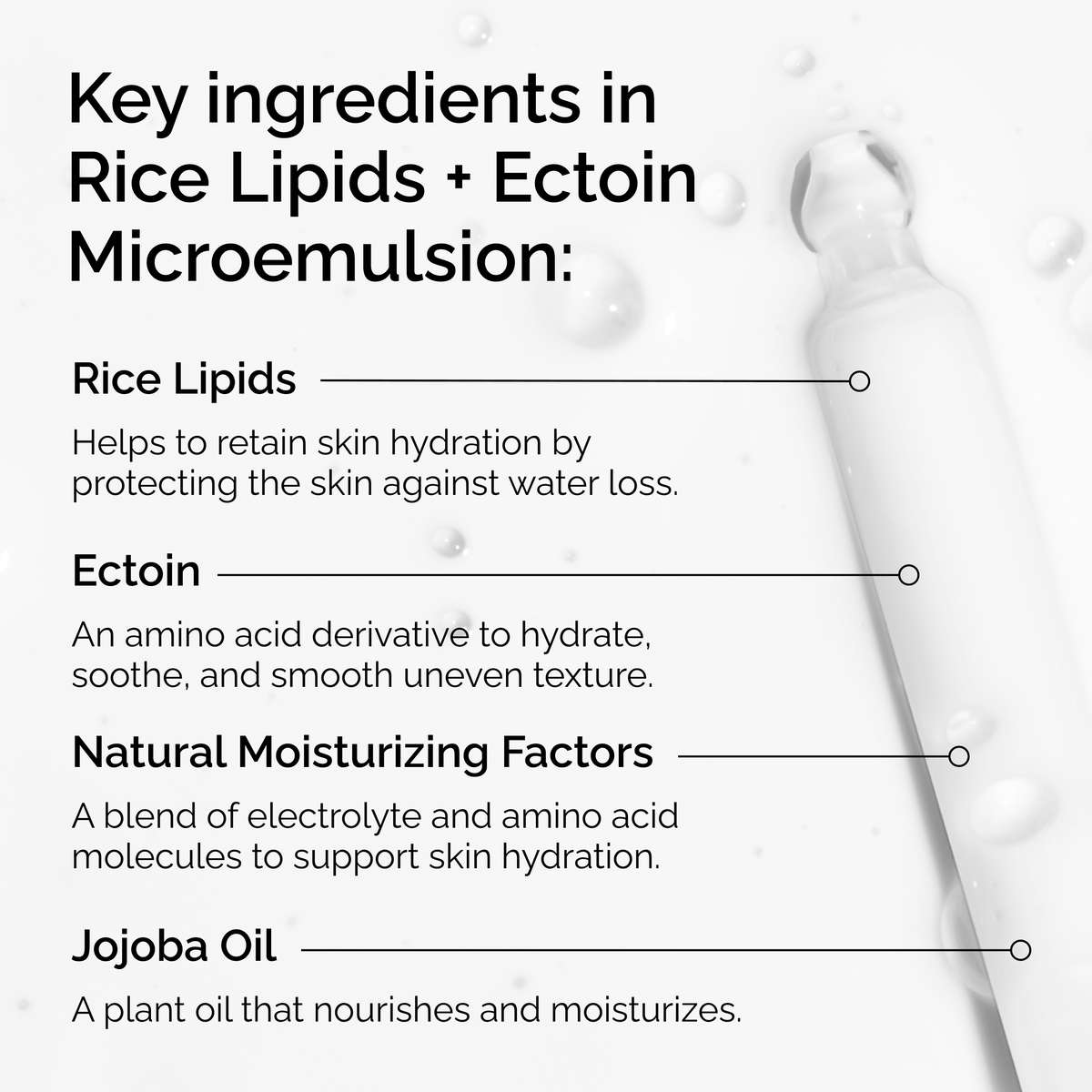 rice-lipids-ectoin-microemulsion-g9 ord-rice-lipids-ectoin-microemulsion-key-ingredients.png