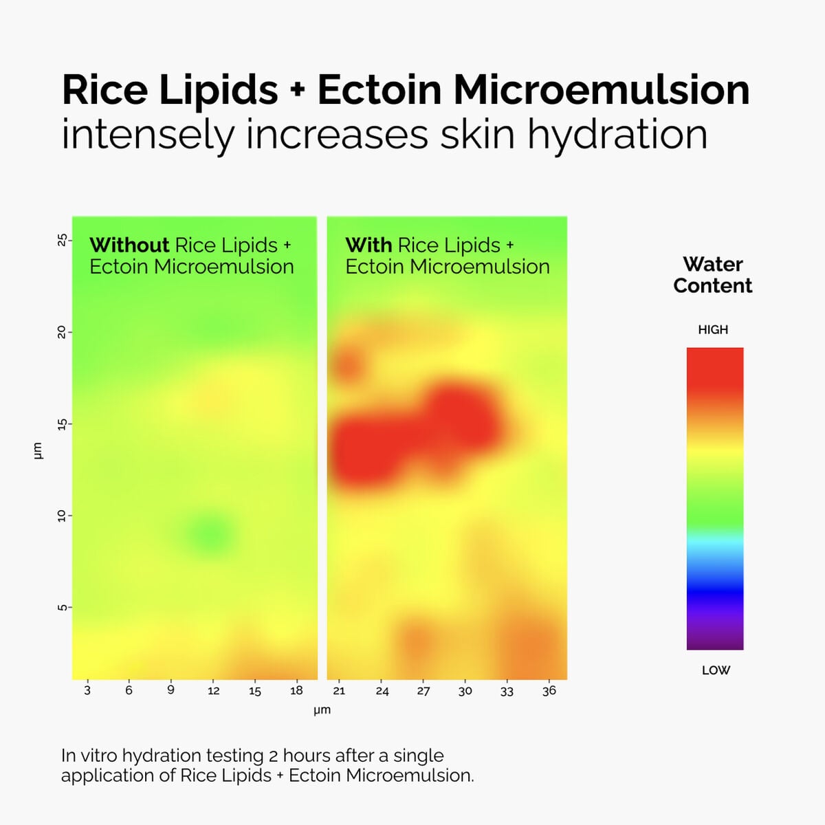 rice-lipids-ectoin-microemulsion-g9 ord-rice-lipids-ectoin-microemulsion-thermal-before-after.jpg